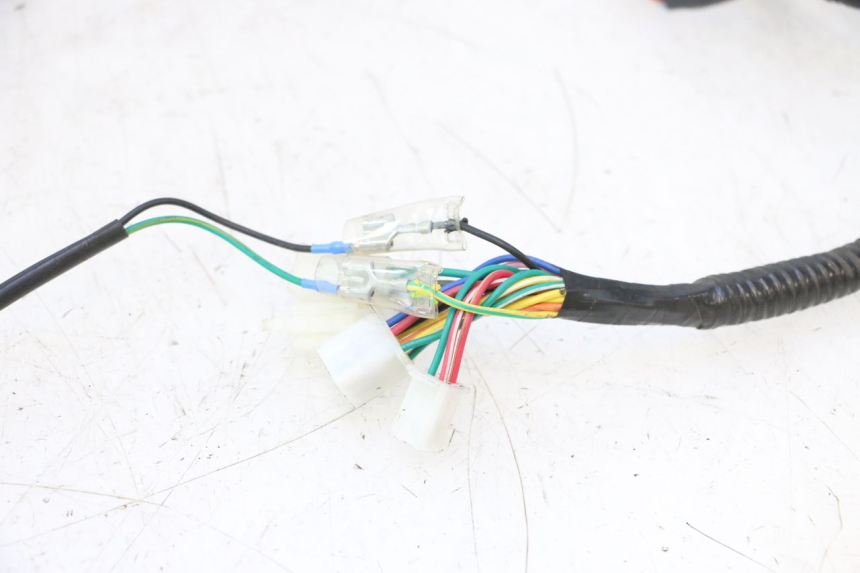 photo de IMPIANTO ELETTRICO ORCAL RAPTOR 50 (2015 - 2021) - Altra vista dell'articolo