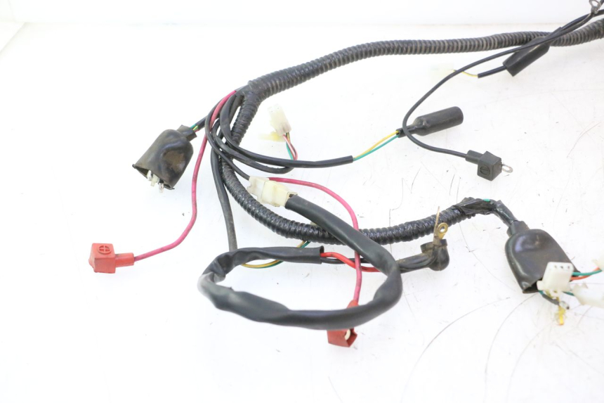 photo de IMPIANTO ELETTRICO ORCAL RAPTOR 50 (2015 - 2021) - Zoom sui componenti