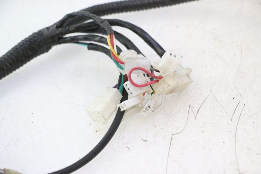 photo de IMPIANTO ELETTRICO ORCAL RAPTOR 50 (2015 - 2021) - Altra angolazione