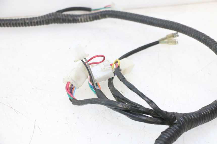 photo de IMPIANTO ELETTRICO ORCAL RAPTOR 50 (2015 - 2021) - Ricambio usato controllato