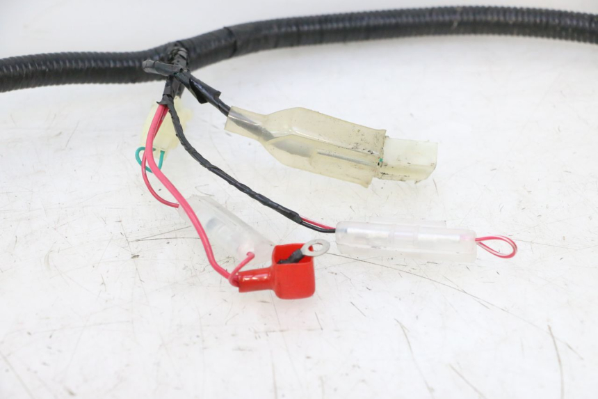 photo de IMPIANTO ELETTRICO LAZIO RENO 50 (2016 - 2021) - Ricambio usato controllato