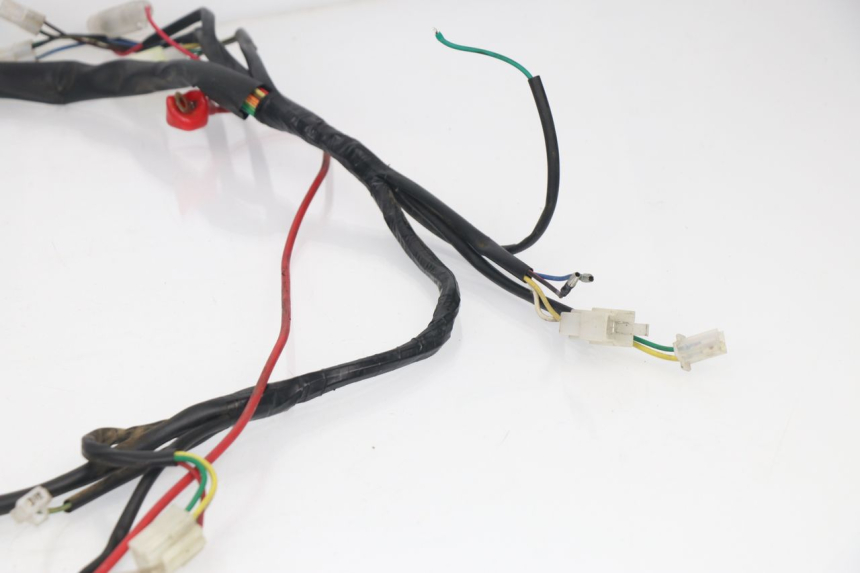 photo de Cablaggio BHM REVENGER 50 (2009 - 2015) - Primo piano tecnico