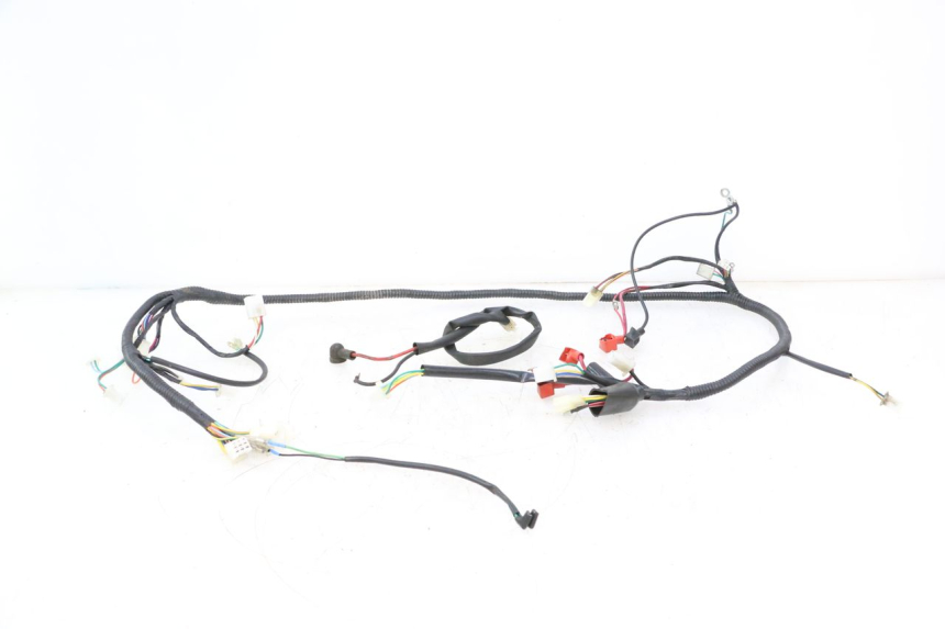 photo de FAISCEAU TNT MOTOR ROMA 10' 2T 50 (2011 - 2018) - Vista principale