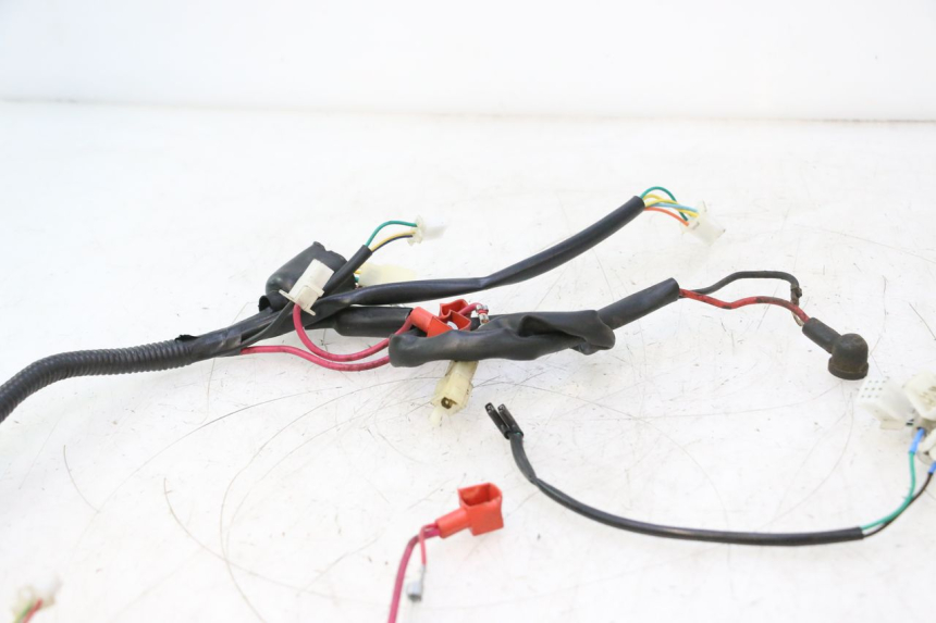 photo de FAISCEAU TNT MOTOR ROMA 10' 2T 50 (2011 - 2018) - Dettaglio del componente