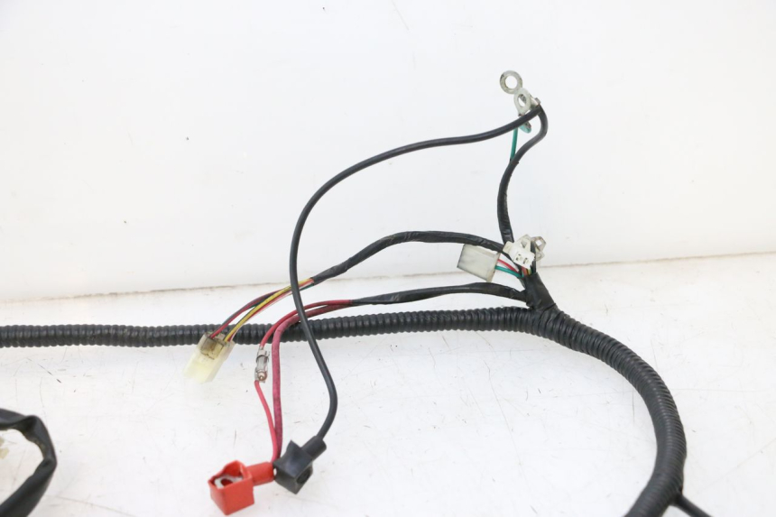 photo de FAISCEAU TNT MOTOR ROMA 10' 2T 50 (2011 - 2018) - Altra vista dell'articolo