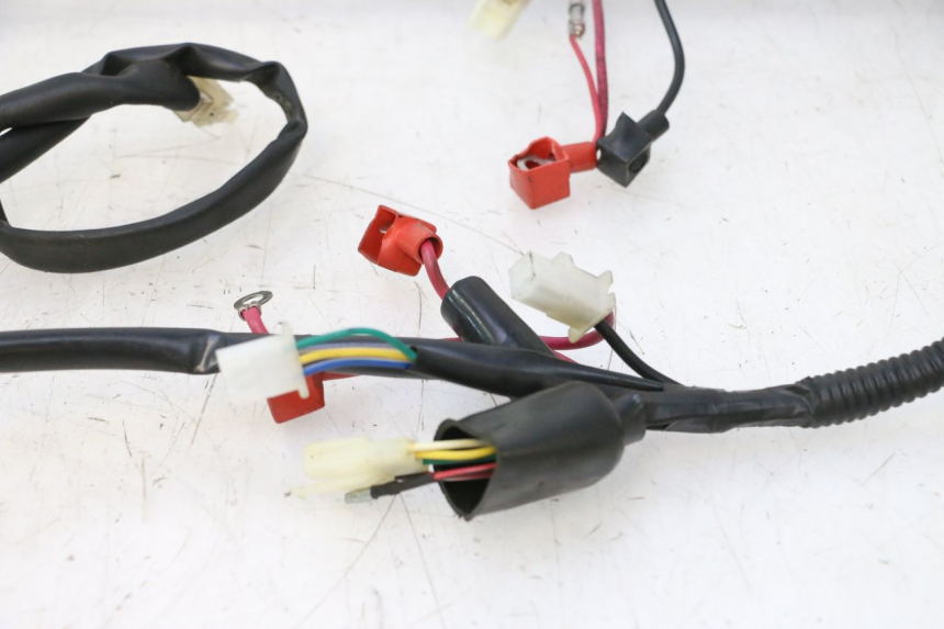 photo de FAISCEAU TNT MOTOR ROMA 10' 2T 50 (2011 - 2018) - Caratteristiche distintive