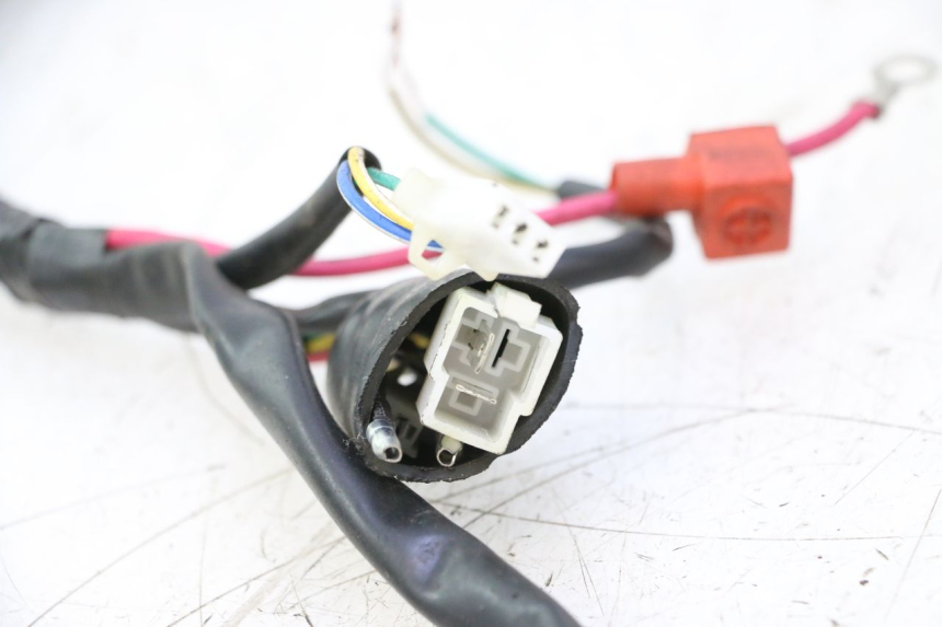 photo de FASCIO TNT MOTOR ROMA 10' 4T 50 (2007 - 2018) - Caratteristiche distintive