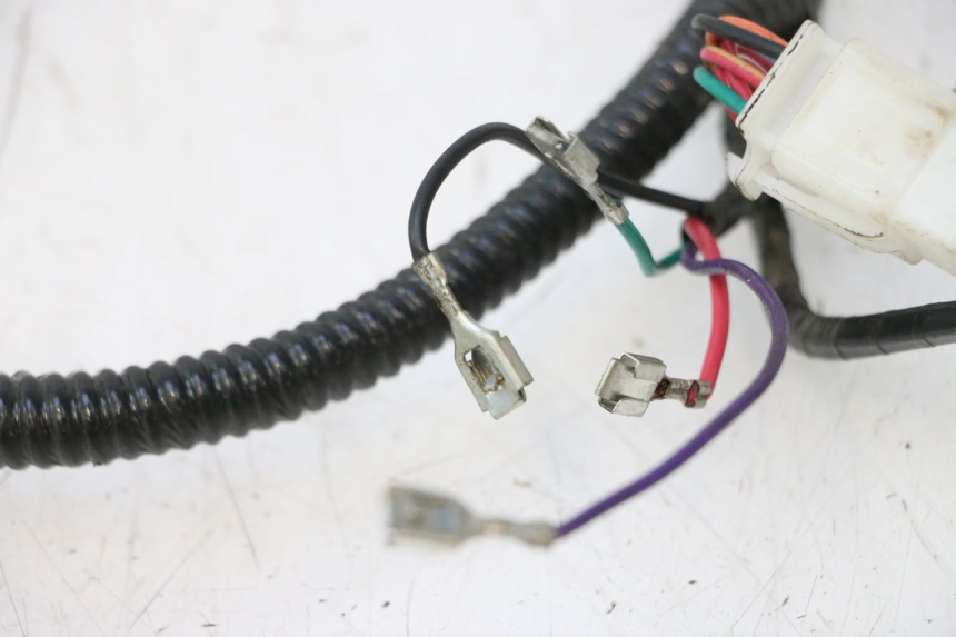 photo de IMPIANTO ELETTRICO TNT MOTOR ROMA 12' 2T 50 (2007 - 2018) - Caratteristiche distintive