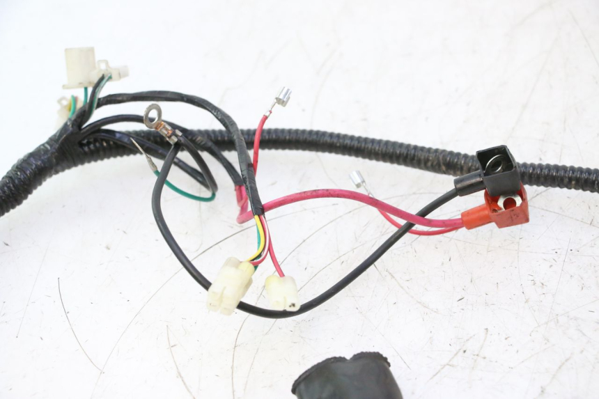 photo de IMPIANTO ELETTRICO TNT MOTOR ROMA 12' 2T 50 (2007 - 2018) - Altra angolazione