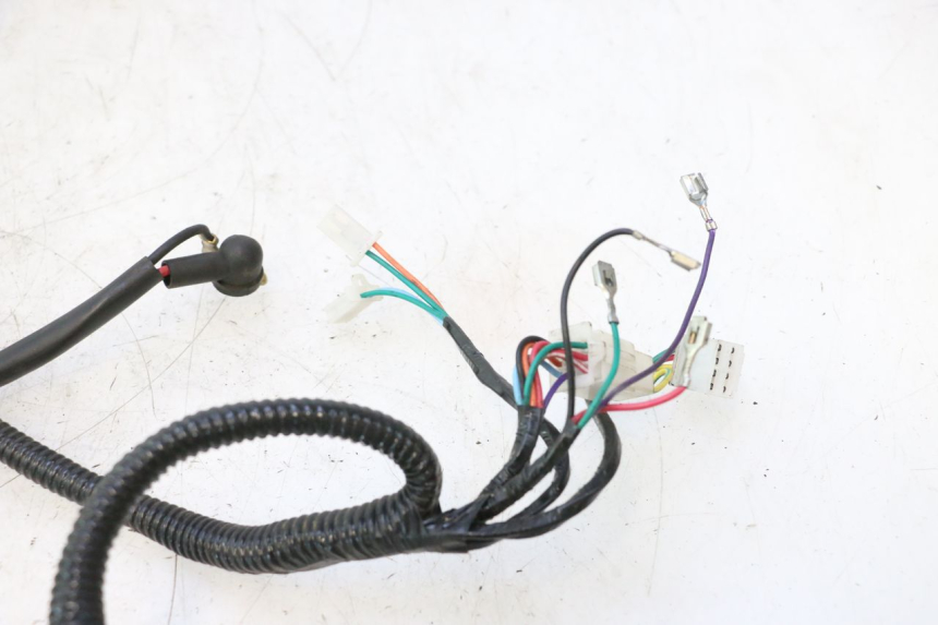photo de IMPIANTO ELETTRICO TNT MOTOR ROMA 12' 2T 50 (2007 - 2018) - Primo piano tecnico