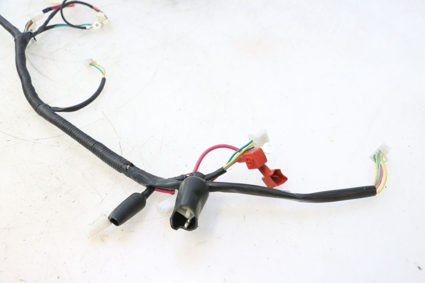 photo de IMPIANTO ELETTRICO TNT MOTOR ROMA 12' 2T 50 (2007 - 2018) - Dettaglio del componente