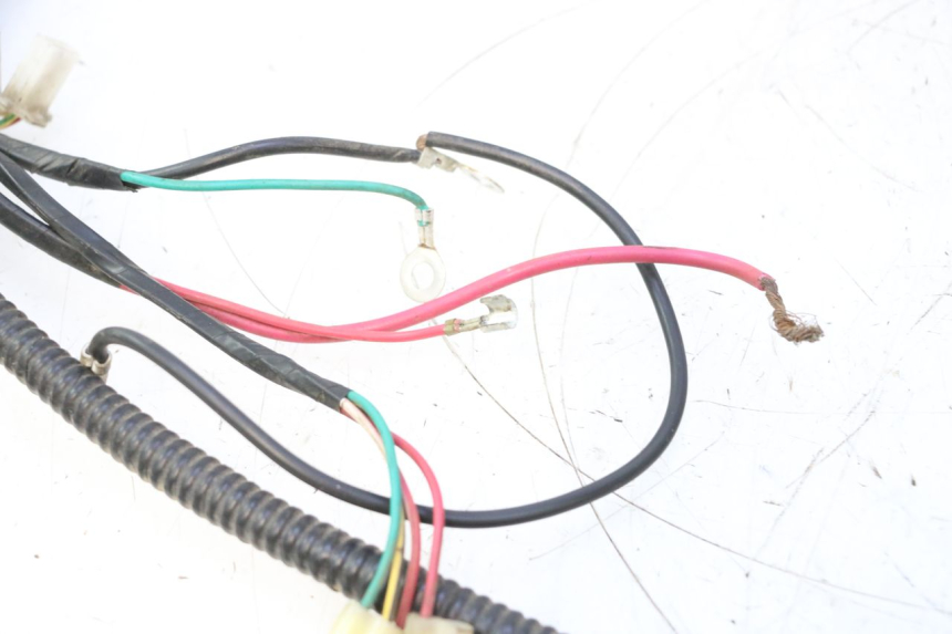 photo de IMPIANTO ELETTRICO TNT MOTOR ROMA 12' 2T 50 (2007 - 2018) - Dettaglio del componente