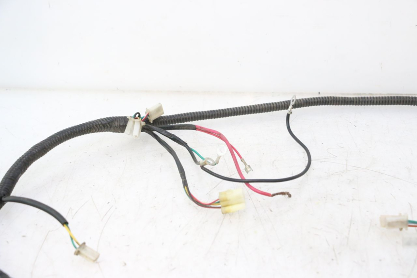photo de IMPIANTO ELETTRICO TNT MOTOR ROMA 12' 2T 50 (2007 - 2018) - Caratteristiche distintive