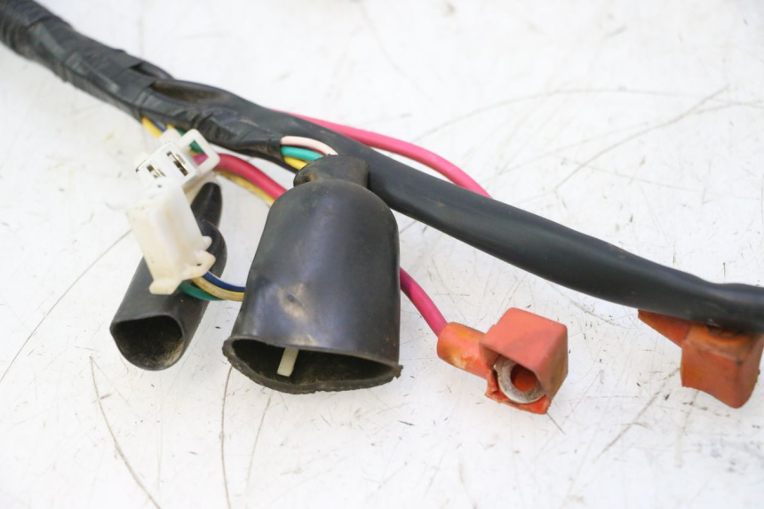 photo de IMPIANTO ELETTRICO TNT MOTOR ROMA 12' 2T 50 (2007 - 2018) - Foto prodotto supplementare