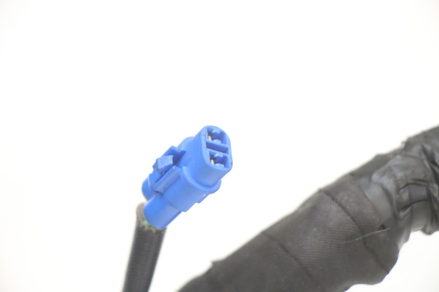 photo de IMPIANTO ELETTRICO ROYAL ENFIELD HYMALAYAN 410 (2016 - 2023) - Caratteristiche distintive