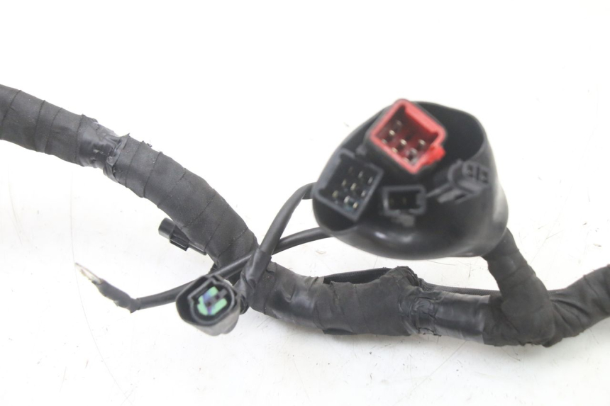 photo de IMPIANTO ELETTRICO ROYAL ENFIELD HYMALAYAN 410 (2016 - 2023) - Primo piano ad alta risoluzione