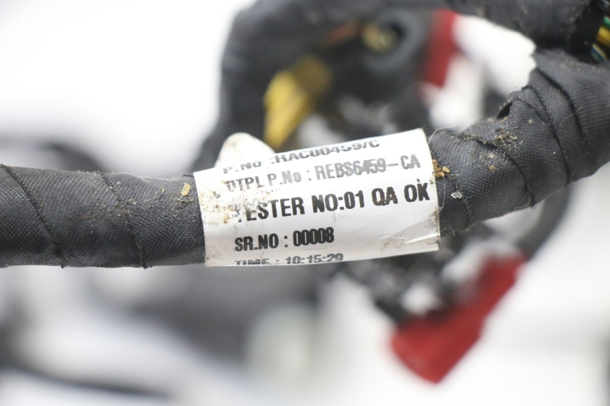 photo de IMPIANTO ELETTRICO ROYAL ENFIELD HYMALAYAN 410 (2016 - 2023) - Focus sulla struttura