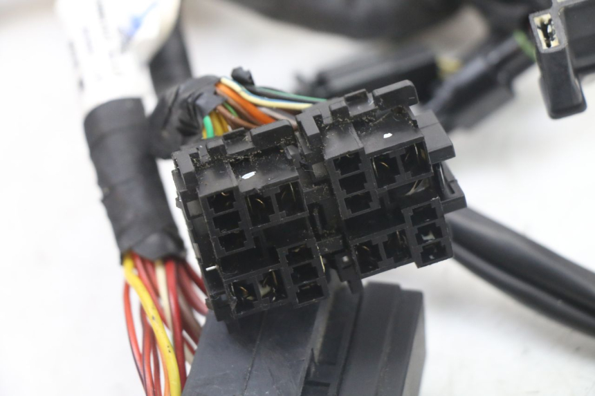 photo de IMPIANTO ELETTRICO ROYAL ENFIELD HYMALAYAN 410 (2016 - 2023) - Altra angolazione