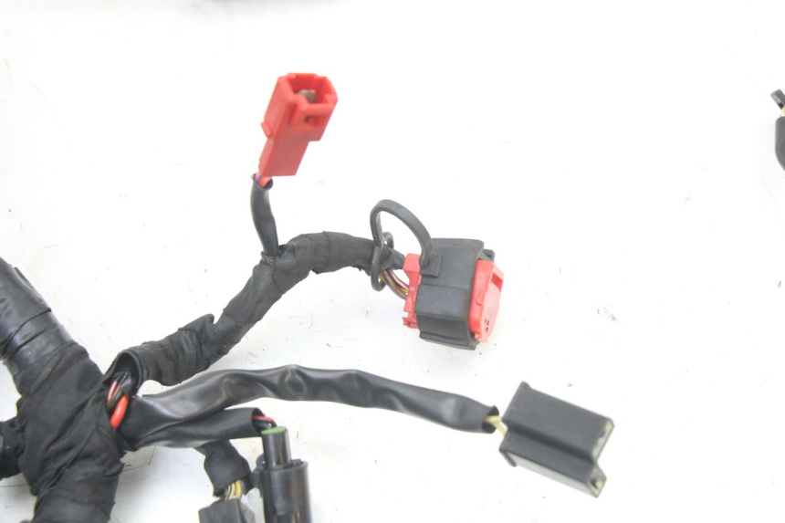 photo de IMPIANTO ELETTRICO ROYAL ENFIELD HYMALAYAN 410 (2016 - 2023) - Primo piano tecnico