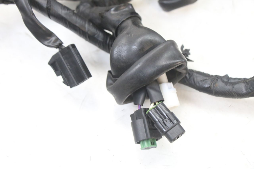 photo de IMPIANTO ELETTRICO ROYAL ENFIELD HYMALAYAN 410 (2016 - 2023) - Dettagli dei punti di fissaggio