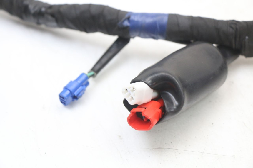 photo de IMPIANTO ELETTRICO ROYAL ENFIELD SCRAM 411 (2022 - 2024) - Caratteristiche distintive