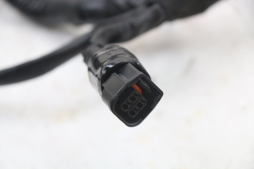 photo de IMPIANTO ELETTRICO ROYAL ENFIELD SCRAM 411 (2022 - 2024) - Primo piano ad alta risoluzione