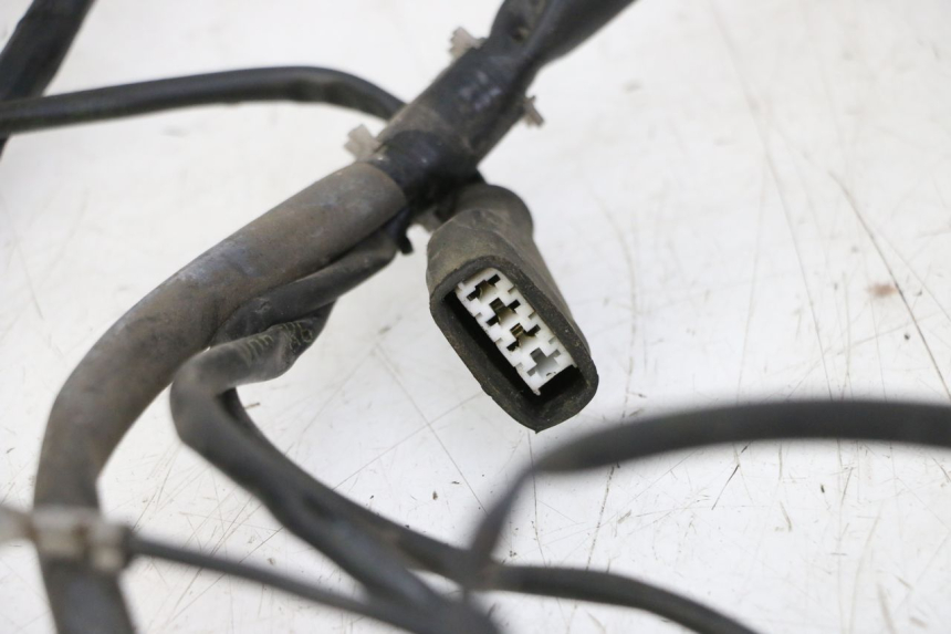 photo de IMPIANTO ELETTRICO GILERA RUNNER SP 50 (2009 - 2017) - Vista d'insieme del prodotto