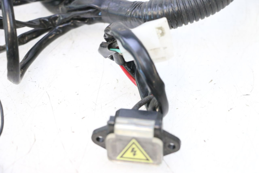 photo de IMPIANTO ELETTRICO BAIKU SAKURA 1 (2021 - 2025) - Ricambio usato controllato