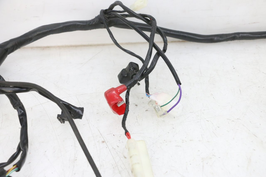 photo de IMPIANTO ELETTRICO JM MOTORS SANTANA EVO 50 (2024 - 2026) - Zoom sui componenti