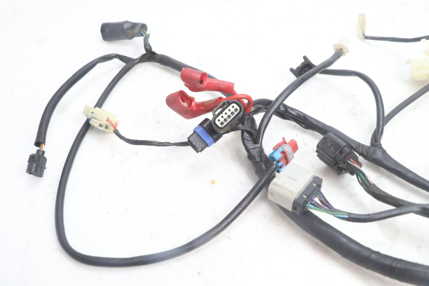 photo de IMPIANTO ELETTRICO JM MOTORS SANTANA EVO 50 (2024 - 2026) - Dettaglio del componente