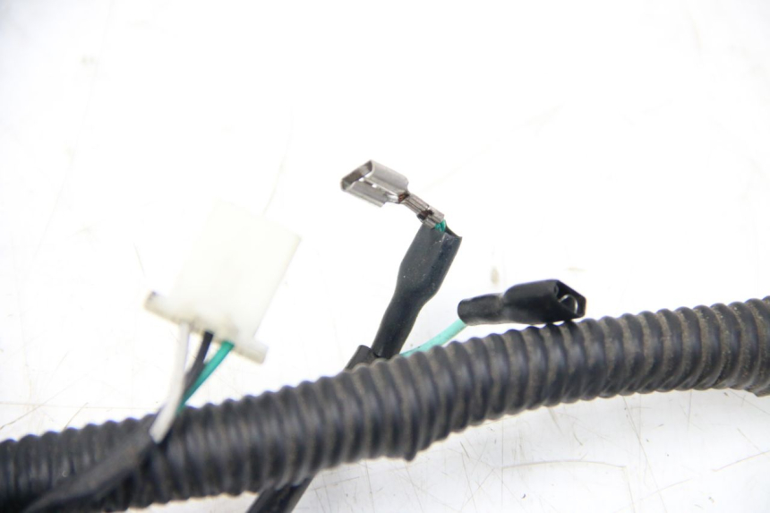 photo de FAISCEAU JM MOTORS SANTANA 50 (2014 - 2023) - Dettaglio del componente