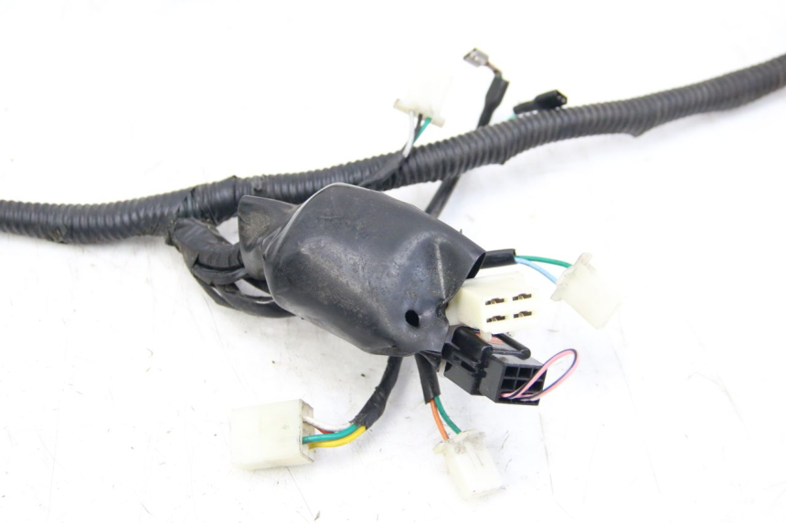 photo de FAISCEAU JM MOTORS SANTANA 50 (2014 - 2023) - Dettagli dei punti di fissaggio