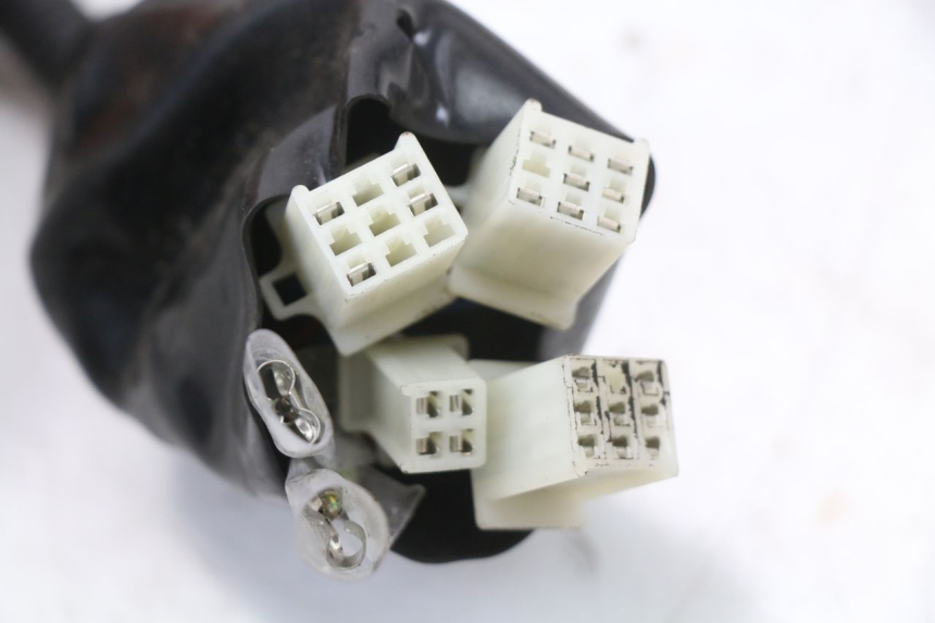 photo de FAISCEAU JM MOTORS SANTANA 50 (2014 - 2023) - Dettaglio del componente