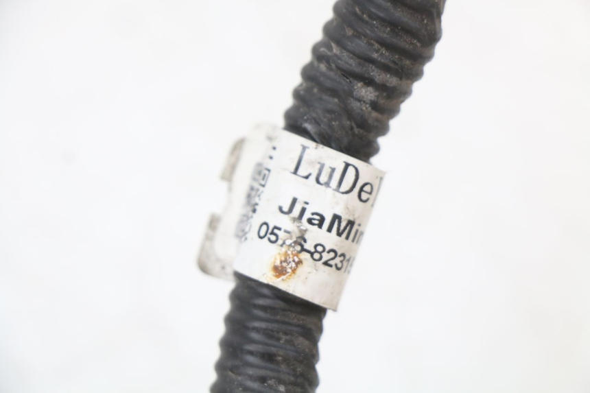 photo de FAISCEAU JM MOTORS SANTANA 50 (2014 - 2023) - Altra angolazione