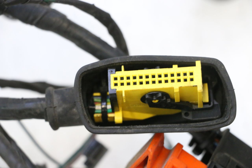 photo de FAISCEAU PEUGEOT SATELIS 125 (2006 - 2009) - Caratteristiche distintive