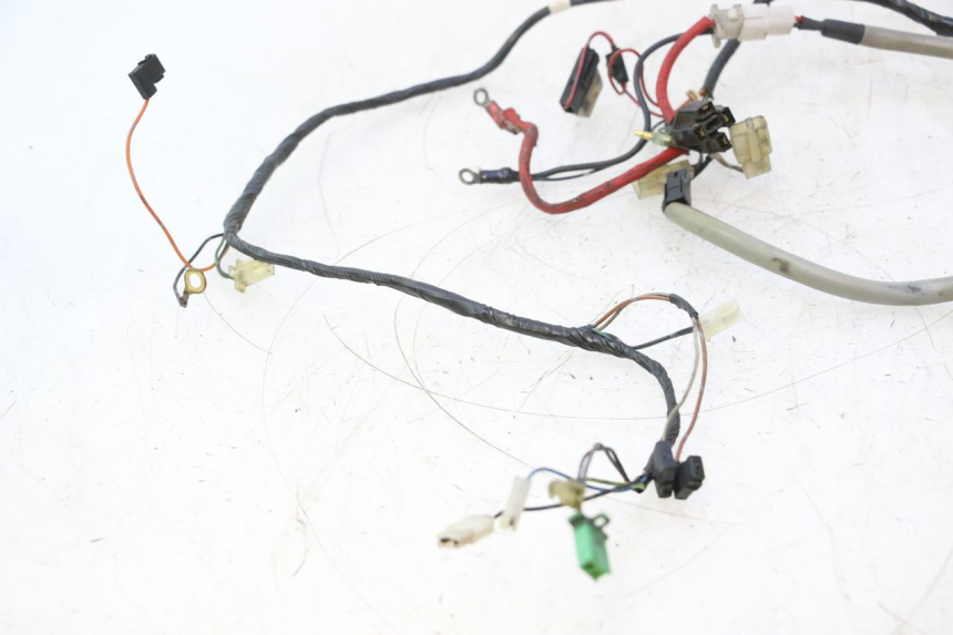 photo de IMPIANTO ELETTRICO YAMAHA SLIDER 50 (1999 - 2004) - Dettaglio del componente