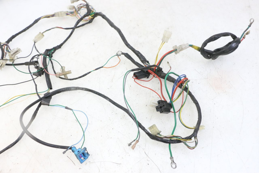 photo de IMPIANTO ELETTRICO PEUGEOT SPEEDFIGHT 2 LC 50 (2000 - 2009) - Dettaglio del componente