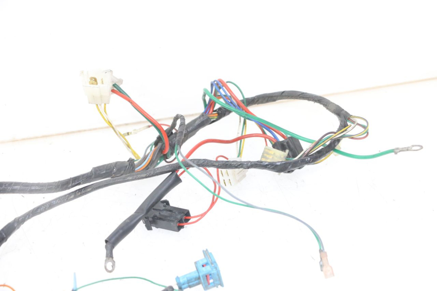 photo de IMPIANTO ELETTRICO PEUGEOT SPEEDFIGHT 2 LC 50 (2000 - 2009) - Zoom sui componenti