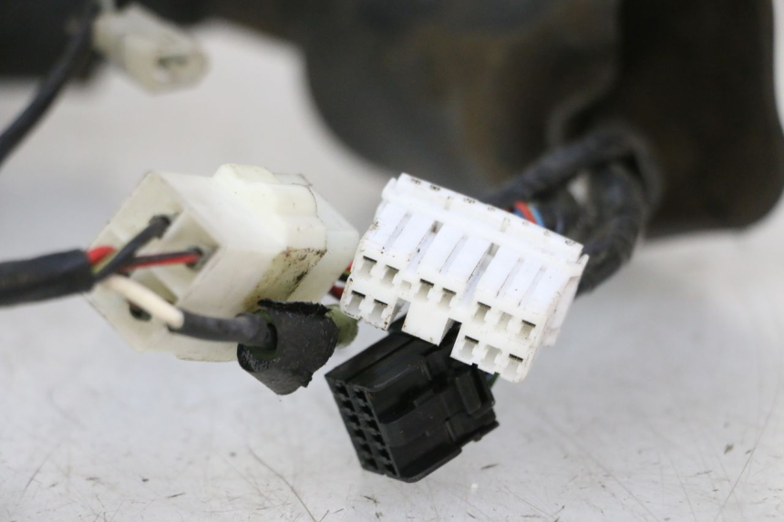 photo de IMPIANTO ELETTRICO TRIUMPH SPRINT 900 (1995 - 1998) - Focus sulla struttura