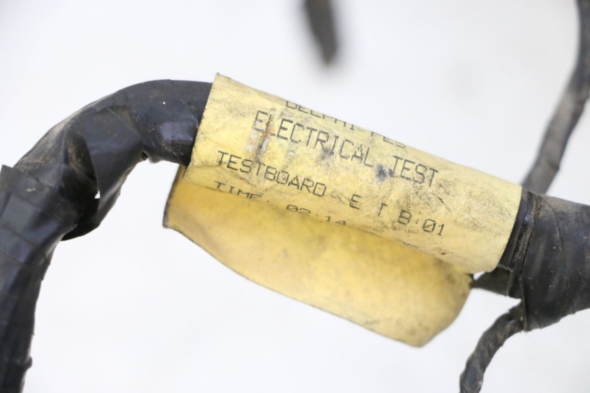 photo de IMPIANTO ELETTRICO TRIUMPH SPRINT 900 (1995 - 1998) - Primo piano tecnico