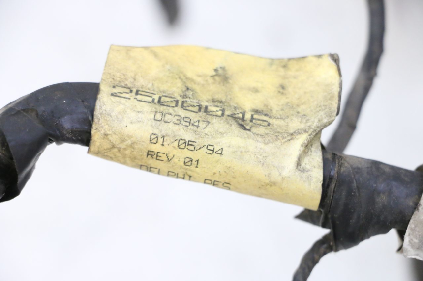 photo de IMPIANTO ELETTRICO TRIUMPH SPRINT 900 (1995 - 1998) - Vista d'insieme del prodotto