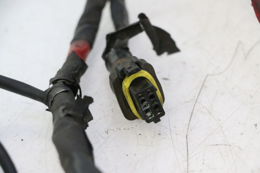 photo de FAISCEAU APRILIA SR 2T 50 (2012 - 2017) - Ispezione visiva dettagliata