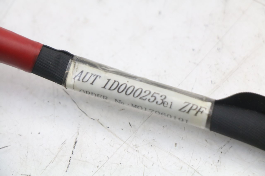 photo de IMPIANTO ELETTRICO APRILIA SR MOTARD 50 (2012 - 2018) - Dettaglio del componente