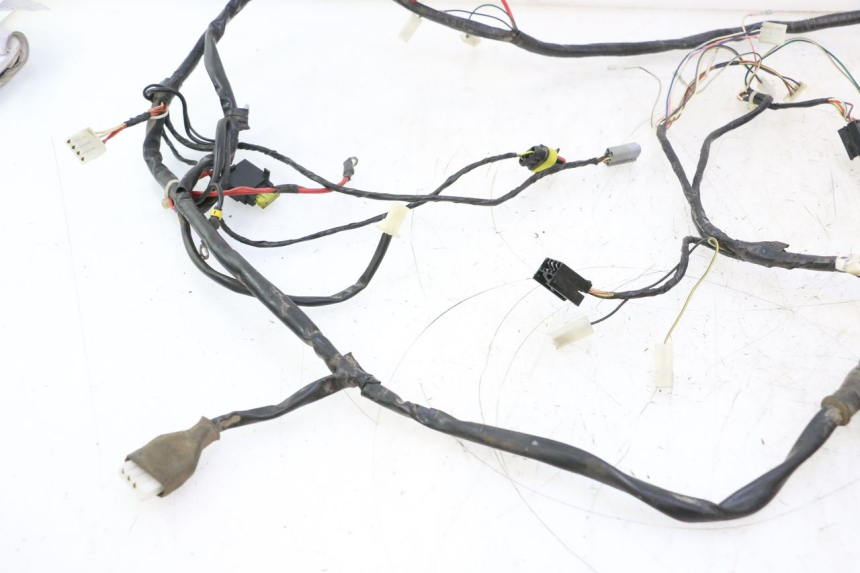 photo de IMPIANTO ELETTRICO GILERA STALKER 50 (2004 - 2014) - Ricambio usato controllato