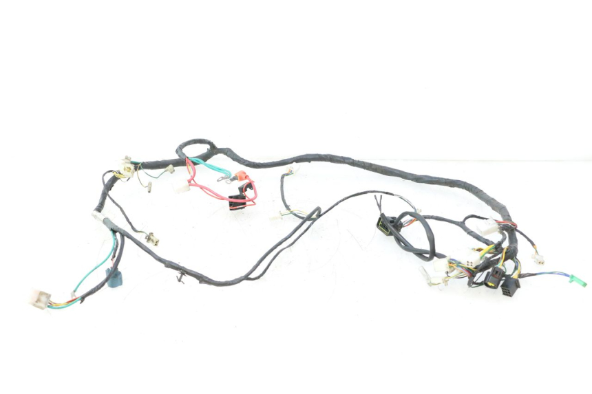 photo de IMPIANTO ELETTRICO PEUGEOT STREETZONE NAKED 2T 50 (2014 - 2018) - Vista principale
