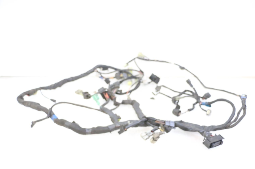 photo de IMPIANTO ELETTRICO SUZUKI BURGMAN 125 (2015 - 2017) - Ricambio usato controllato