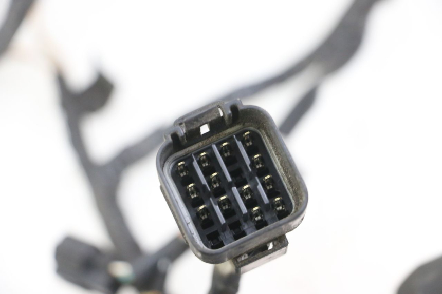 photo de IMPIANTO ELETTRICO SUZUKI GSX F GSXF 650 (2007 - 2015) - Vista d'insieme del prodotto