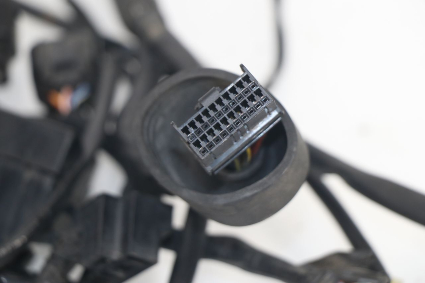 photo de FAISCEAU SUZUKI XF FREEWIND 650 (1997 - 2003) - Altra angolazione