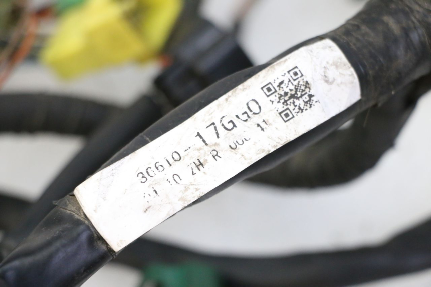 photo de IMPIANTO ELETTRICO SUZUKI SV S 650 (2003 - 2009) - Caratteristiche distintive