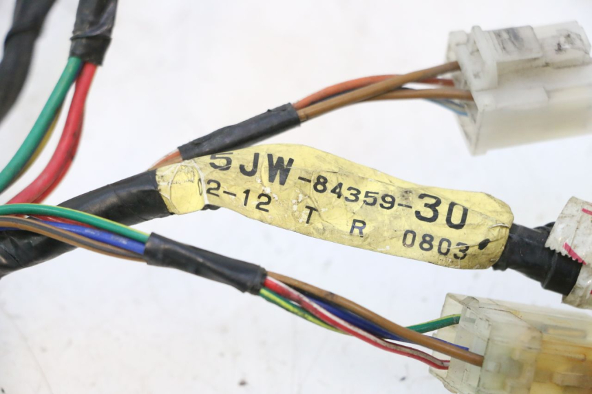 photo de CABLAGGIO CARENA YAMAHA FJR 1300 (2001 - 2005) - Dettaglio del componente